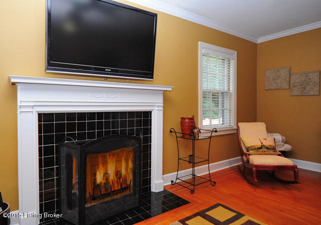 3035 Lexington Road Louisville, KY 40206 - Photo 23 of 47 Gas Fireplace