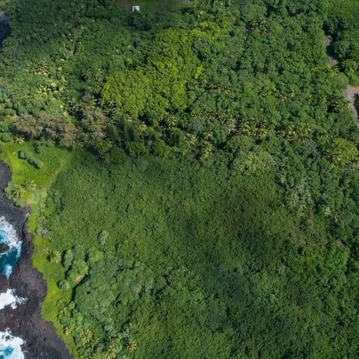 16 Government Beach Road Pahoa, HI 96778 - Photo 19 of 25 Gallery Image 19