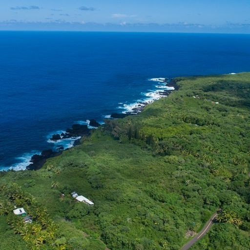 16 Government Beach Road Pahoa, HI 96778 - Photo 23 of 25 Gallery Image 23