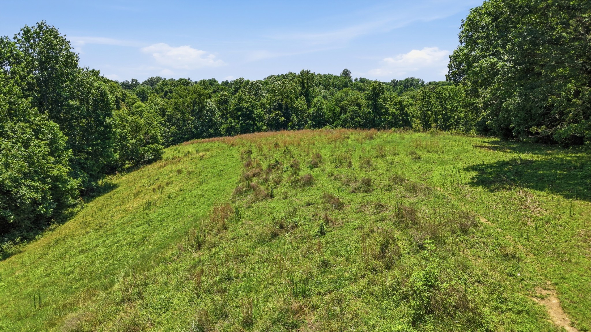 0 Tankersley Ridge Road Tullahoma, TN 37388 - Photo 5 of 16
