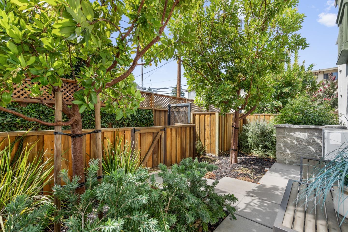100 Tilton Avenue San Mateo, CA 94401 - Photo 19 of 23 a view of small yard with large trees and wooden fence