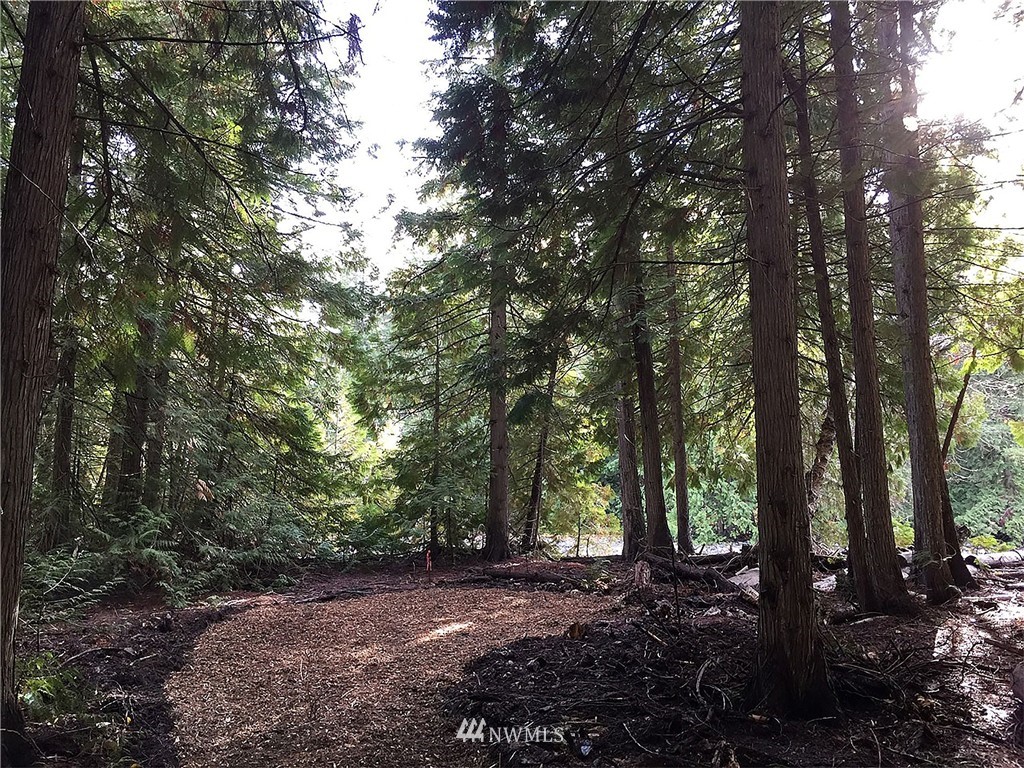 0 Xxx Lost River Road Mazama, WA 98833 - Photo 1 of 3 Gallery Image 1