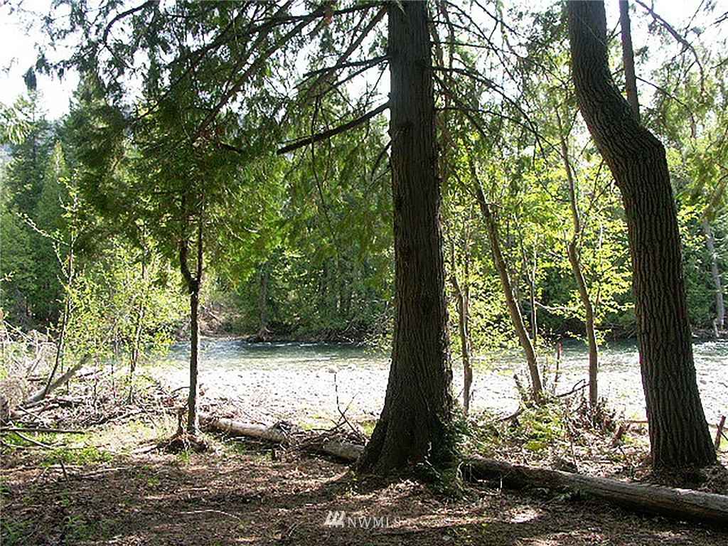 0 Xxx Lost River Road Mazama, WA 98833 - Photo 2 of 3 Gallery Image 2