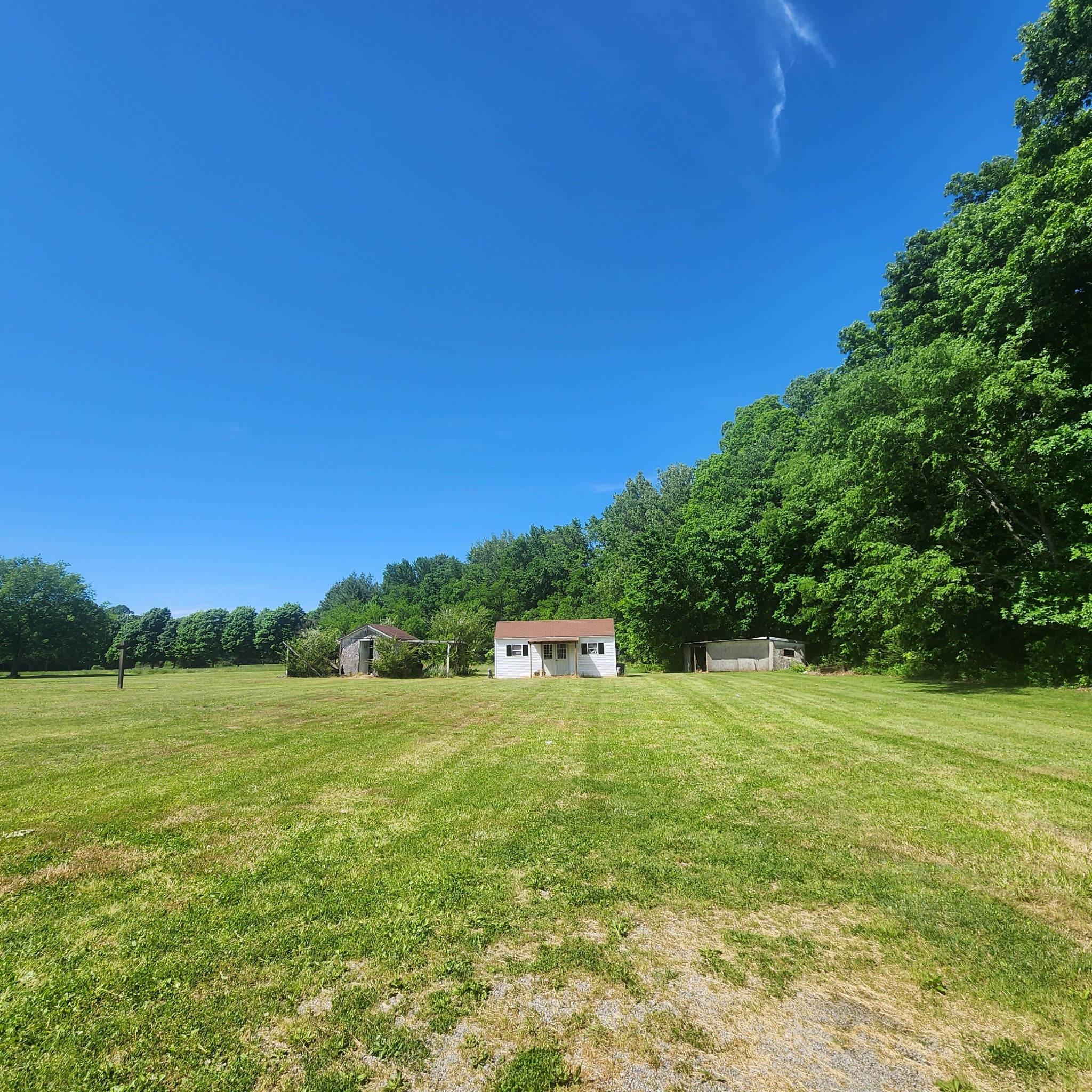4774 Boyd Holland Road Springfield, TN 37172 - Photo 5 of 22