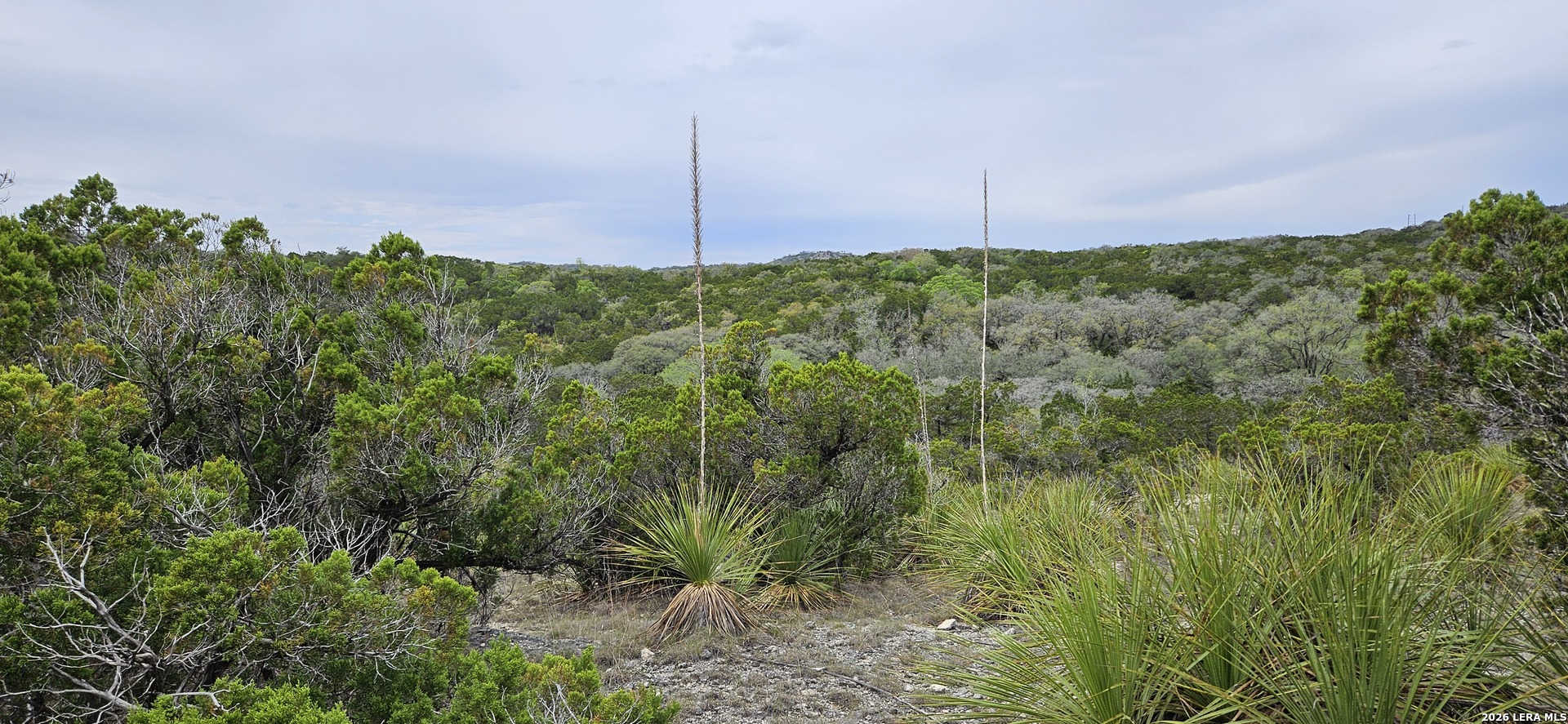 21207 Scenic Loop Road Helotes, TX 78023 - Photo 2 of 9 a view of a city with lush green space