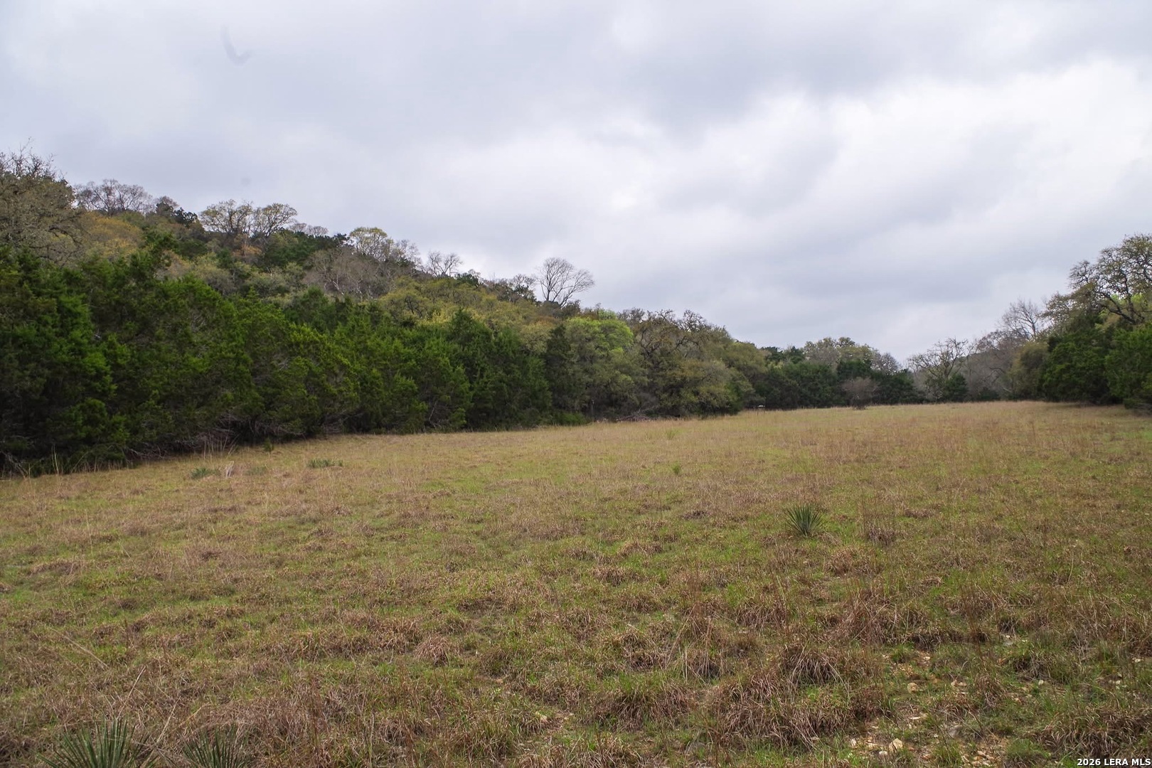 21207 Scenic Loop Road Helotes, TX 78023 - Photo 3 of 9 a view of lake