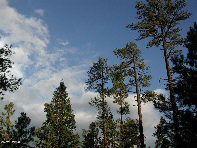 4 County Road N2147 Alpine, AZ 85920 - Photo 5 of 14 a view of lake