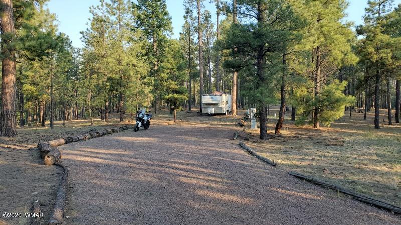 4 County Road N2147 Alpine, AZ 85920 - Photo 7 of 14 a park with lots of trees and plants