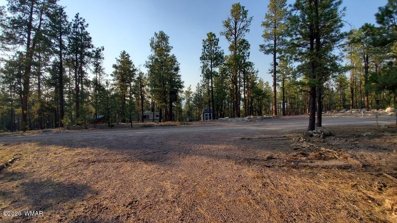 4 County Road N2147 Alpine, AZ 85920 - Photo 8 of 14 a view of dirt yard with a trees