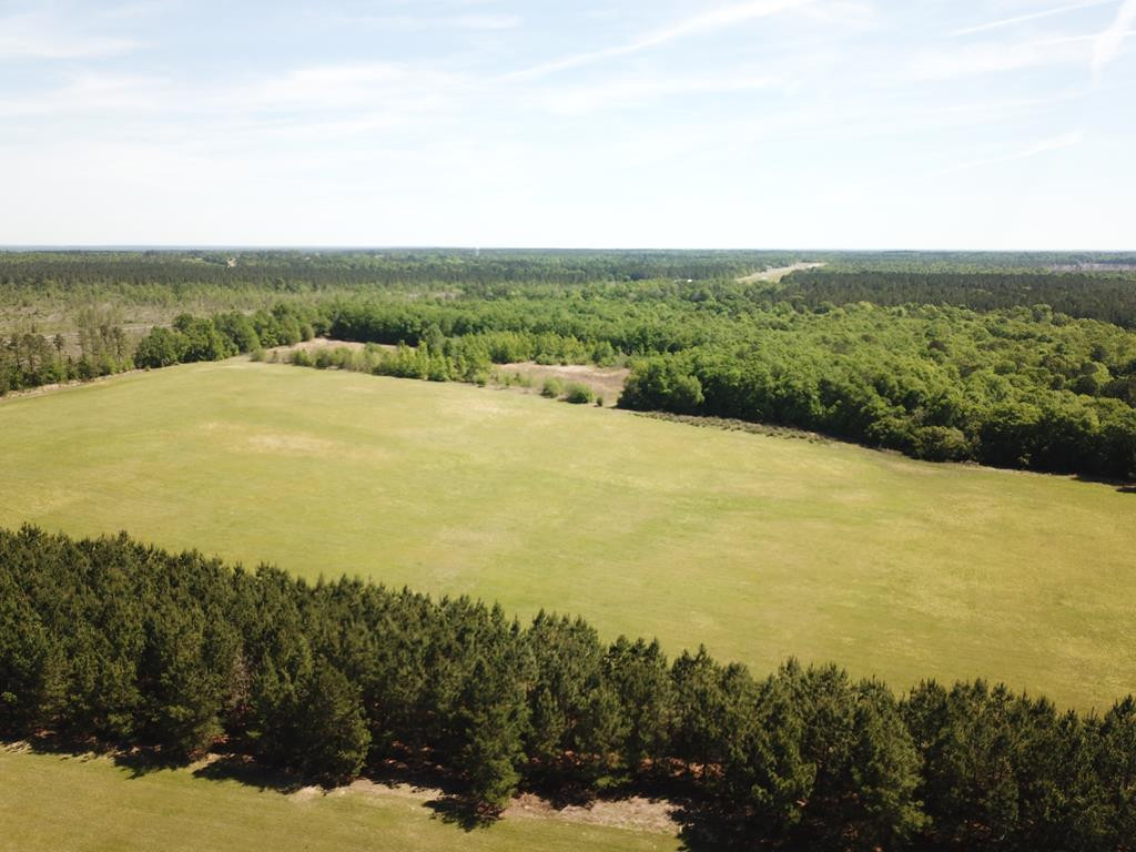 Tbd Tbd Dixie Road South Wagener, SC 29164 - Photo 13 of 25