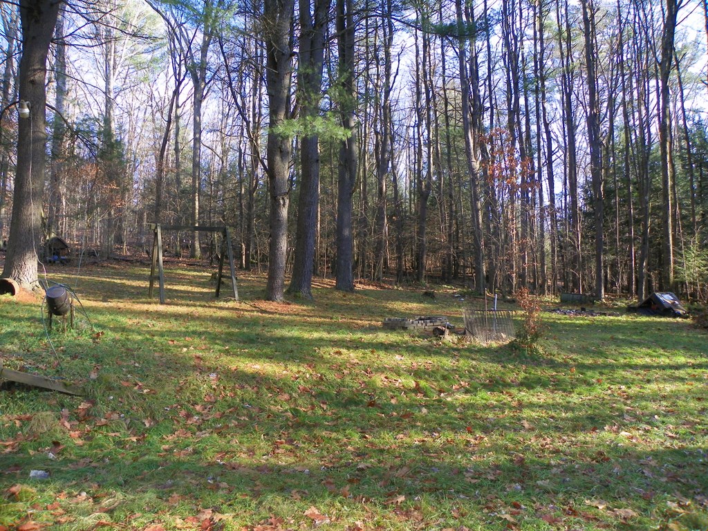 662 Brecht Road Tionesta, PA 16353 - Photo 3 of 19