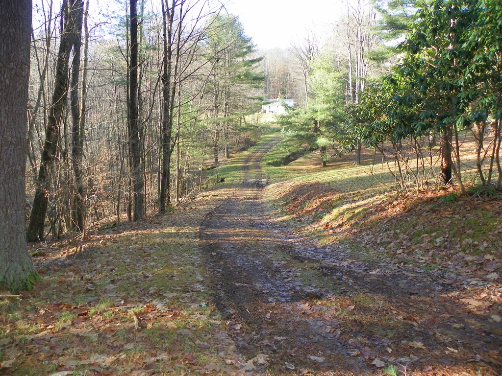 662 Brecht Road Tionesta, PA 16353 - Photo 4 of 19