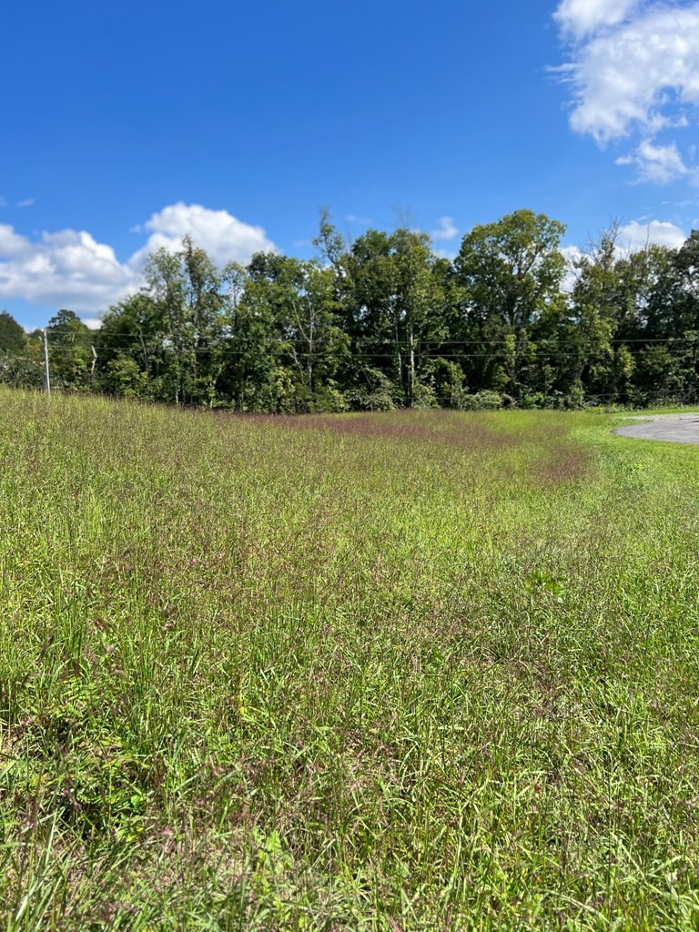 14 Buttercup Way Newport, TN 37821 - Photo 3 of 9 Gallery Image 3