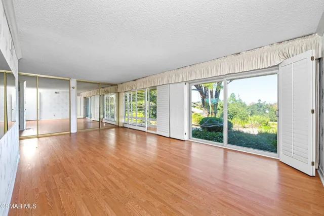 a view of a yard with plants and large trees
