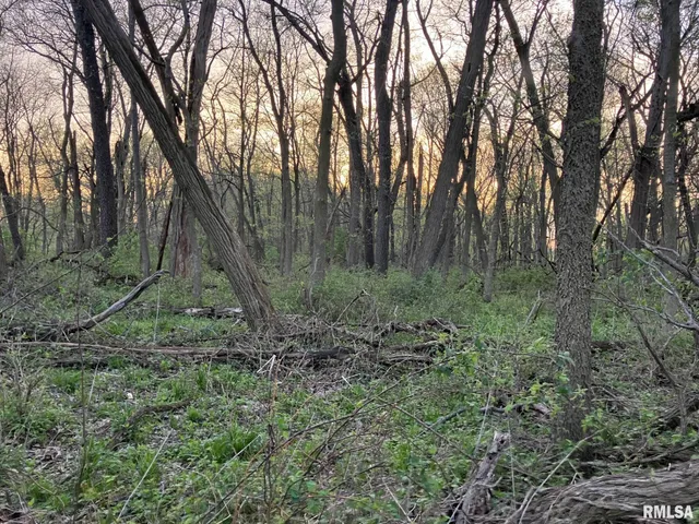 $125,000 | North Township Road, Oquawka, IL 61469