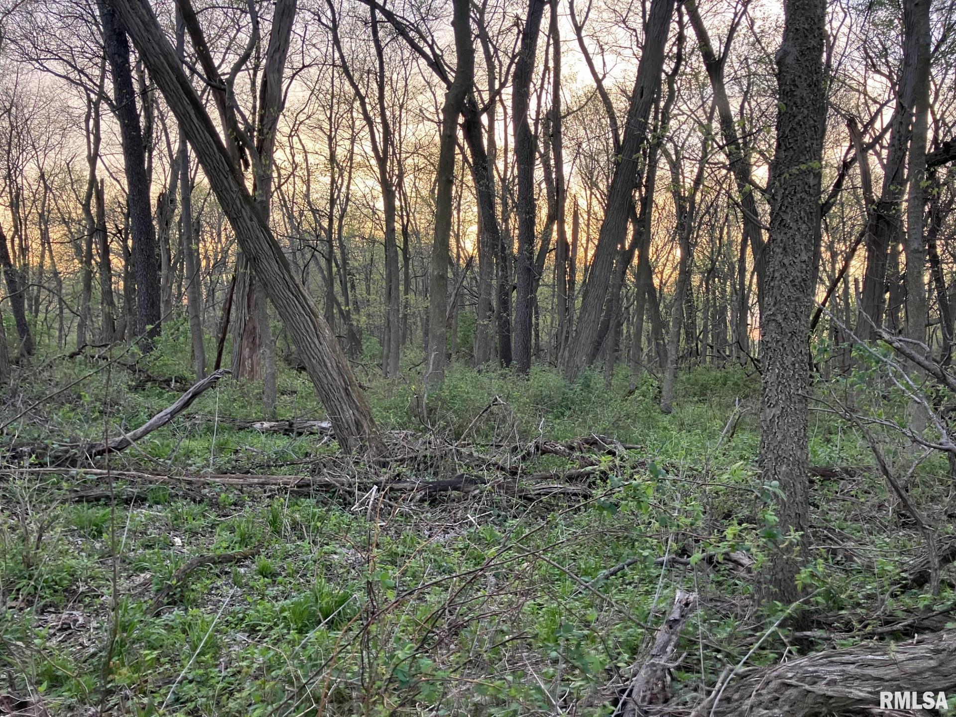 North Township Road Oquawka, IL 61469 - Photo 2 of 3