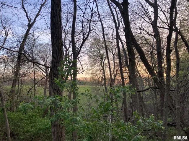 $125,000 | North Township Road, Oquawka, IL 61469