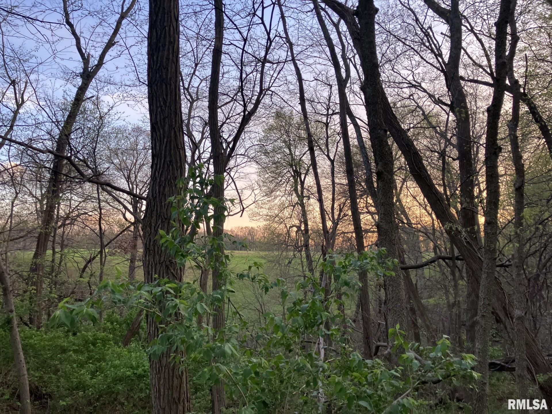 North Township Road Oquawka, IL 61469 - Photo 3 of 3