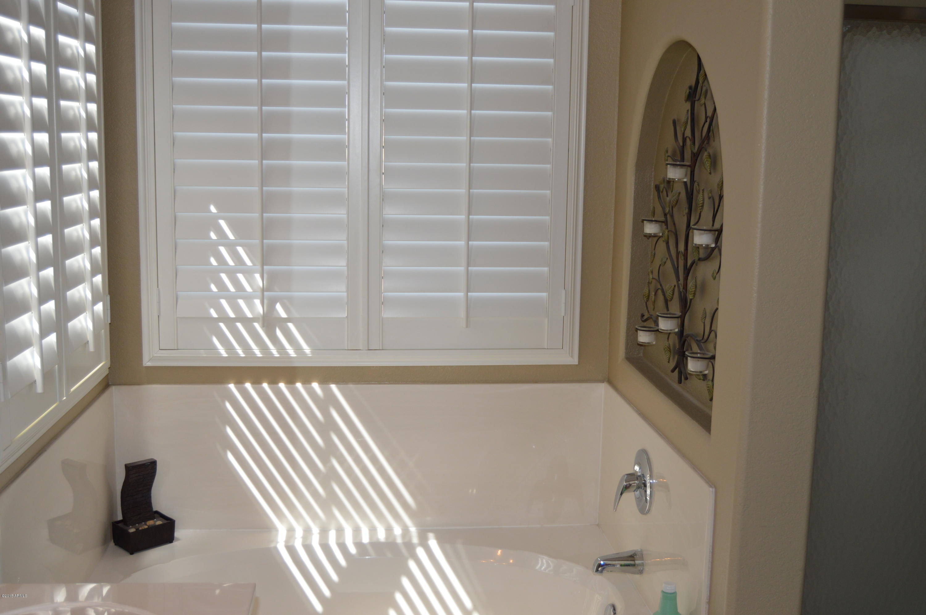6611 West Briles Road Phoenix, AZ 85083 - Photo 19 of 27 DSC_0640