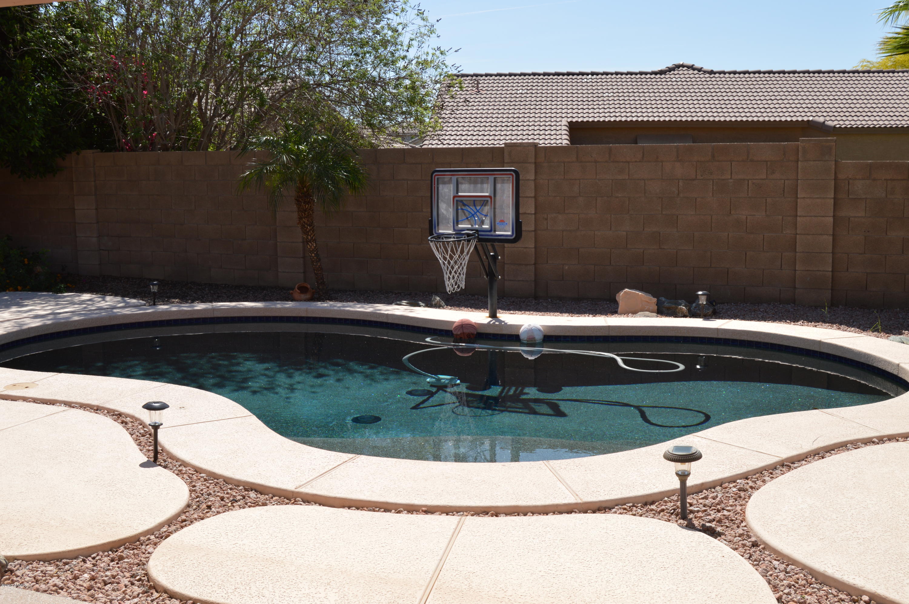 6611 West Briles Road Phoenix, AZ 85083 - Photo 22 of 27 DSC_0643