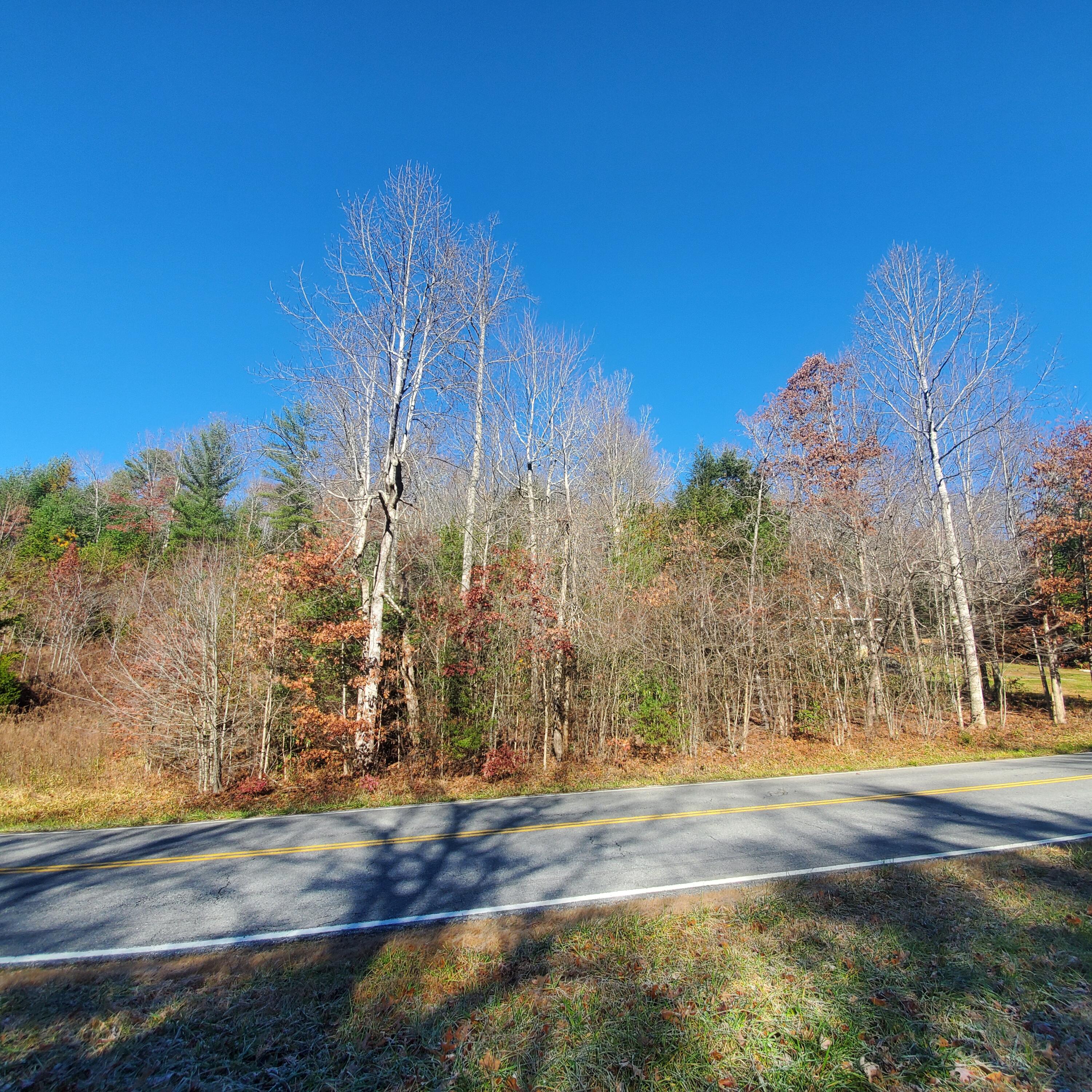 Tbd Scioto Road, Unit 11 Unicoi, TN 37692 - Photo 1 of 5 20211123_111534