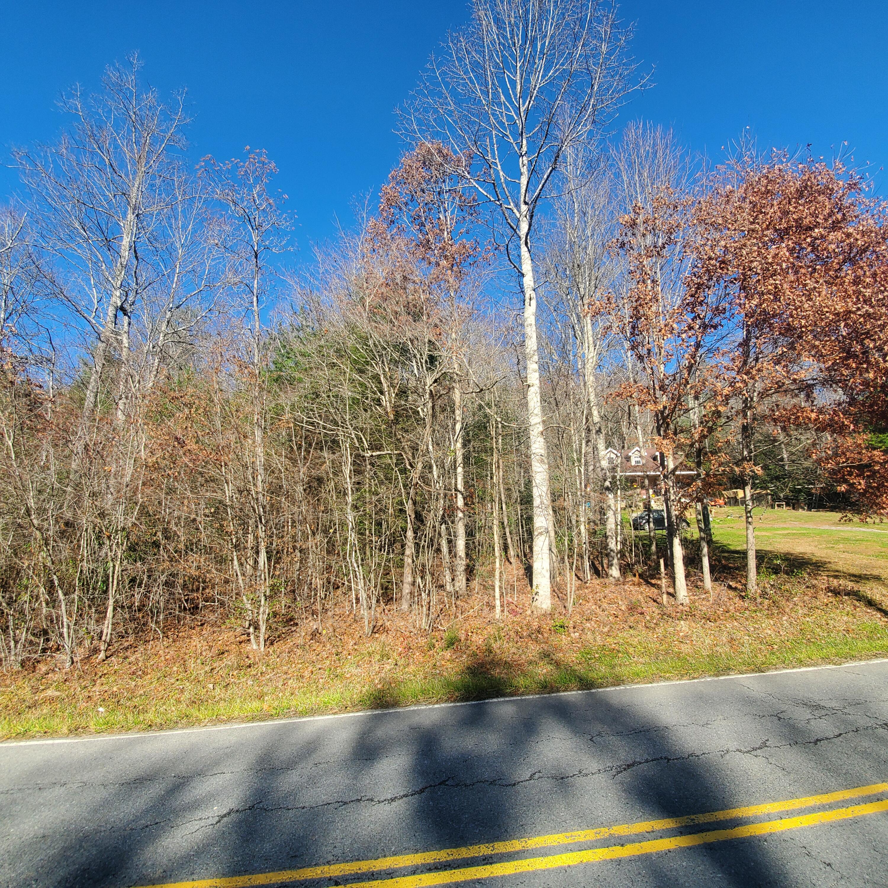 Tbd Scioto Road, Unit 11 Unicoi, TN 37692 - Photo 2 of 5 20211123_111554