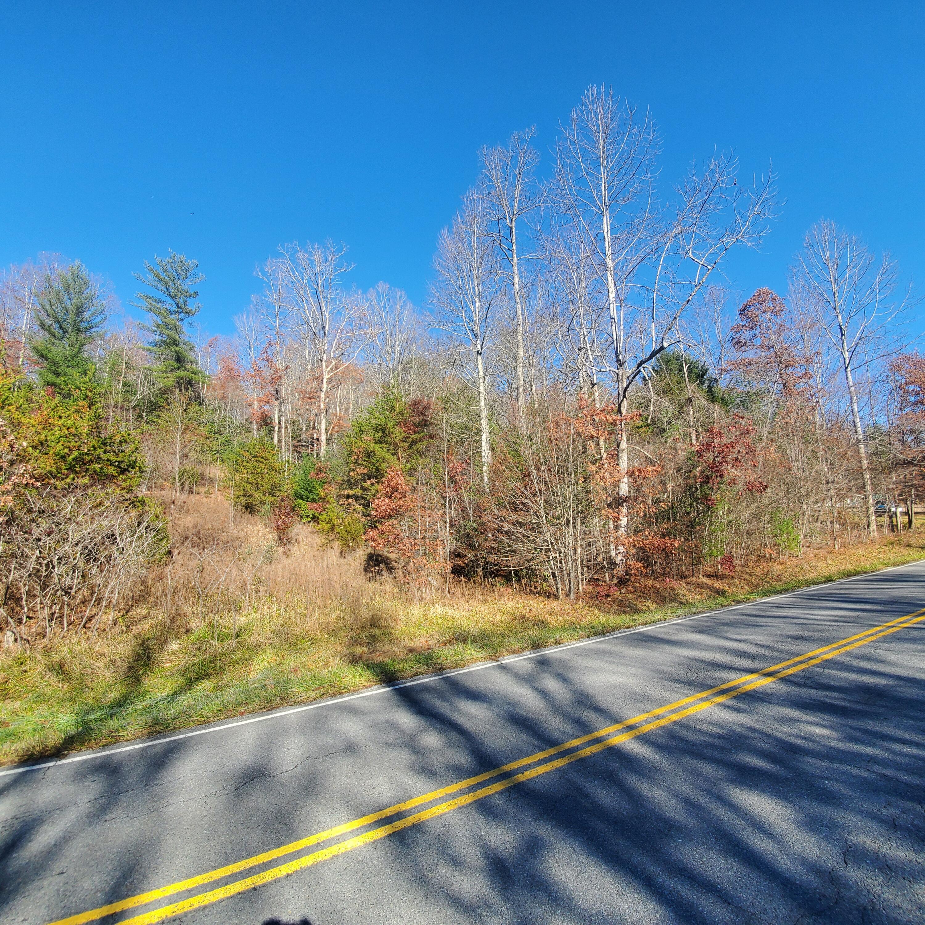 Tbd Scioto Road, Unit 11 Unicoi, TN 37692 - Photo 3 of 5 20211123_111518