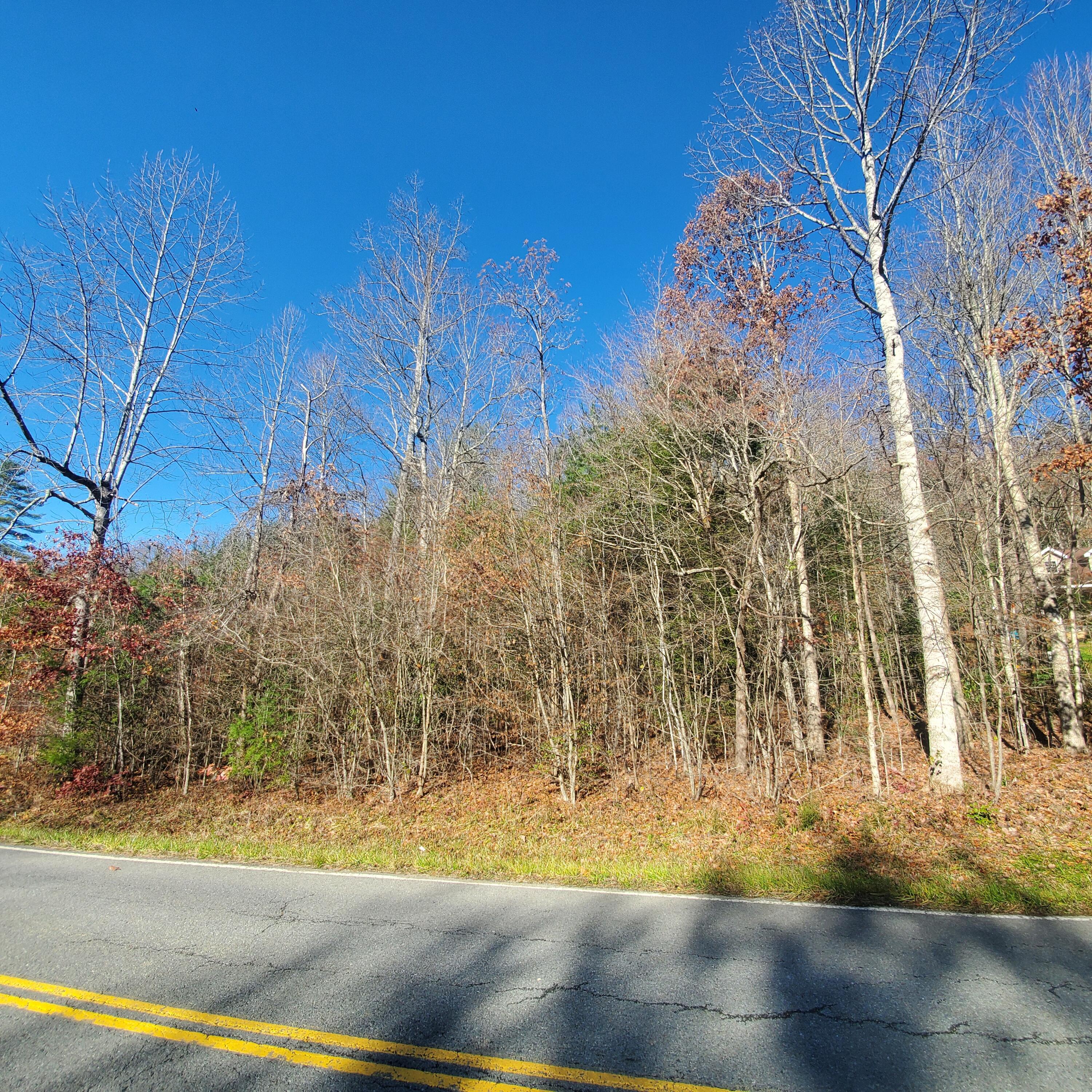 Tbd Scioto Road, Unit 11 Unicoi, TN 37692 - Photo 4 of 5 20211123_111553