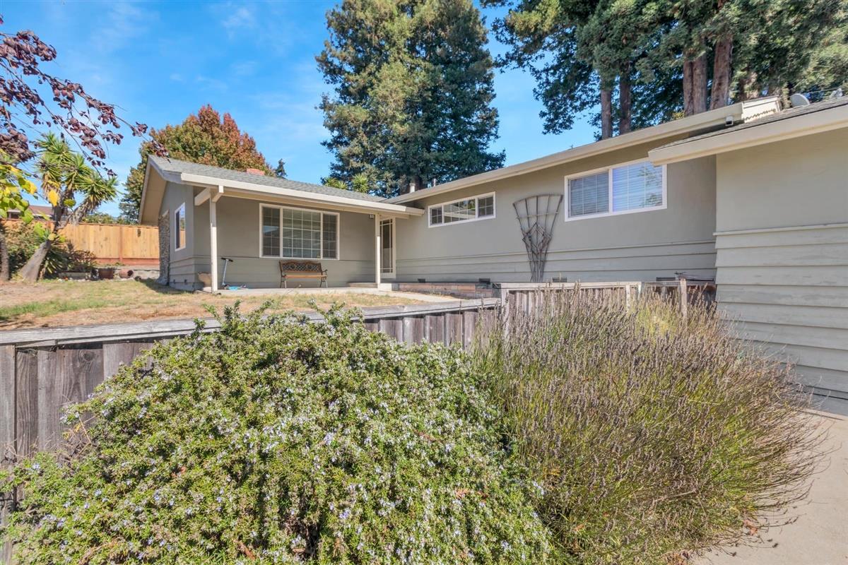 406 Pine Street, Unit A Capitola, CA 95010 - Photo 4 of 32 a backyard of a house with large trees and plants