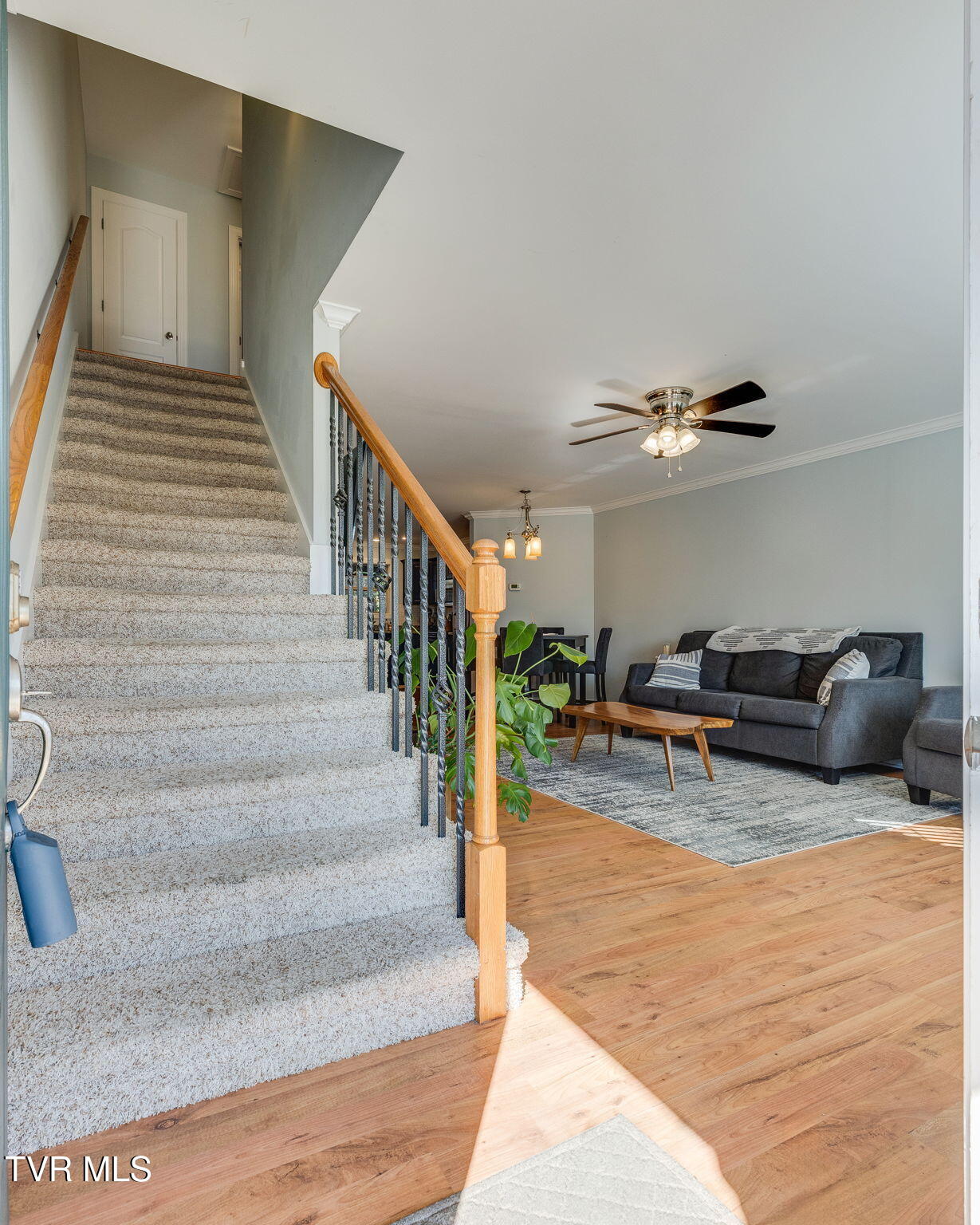 34 Logans Run, Unit 34 Gray, TN 37615 - Photo 11 of 29 005