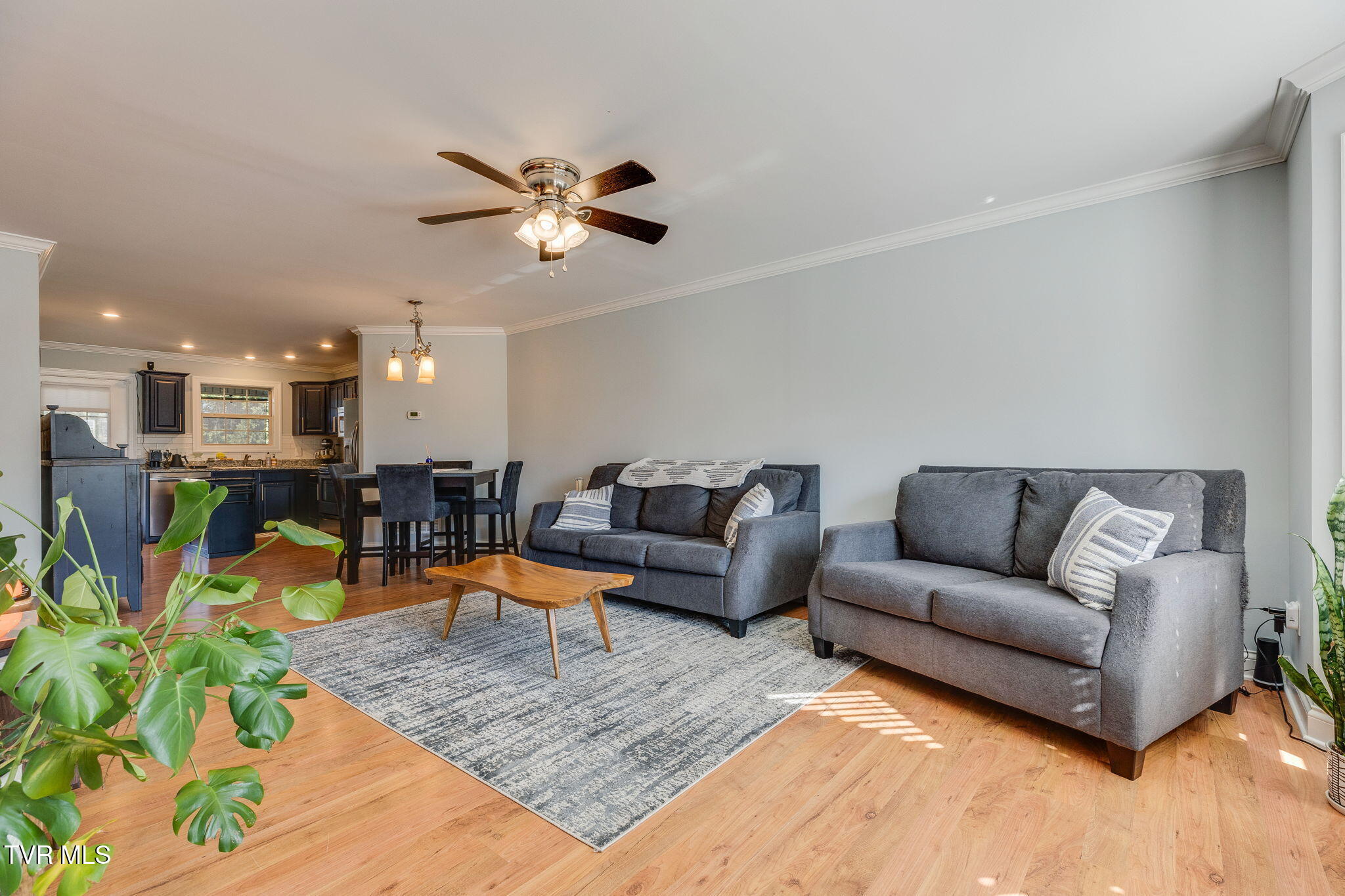 34 Logans Run, Unit 34 Gray, TN 37615 - Photo 3 of 29 007