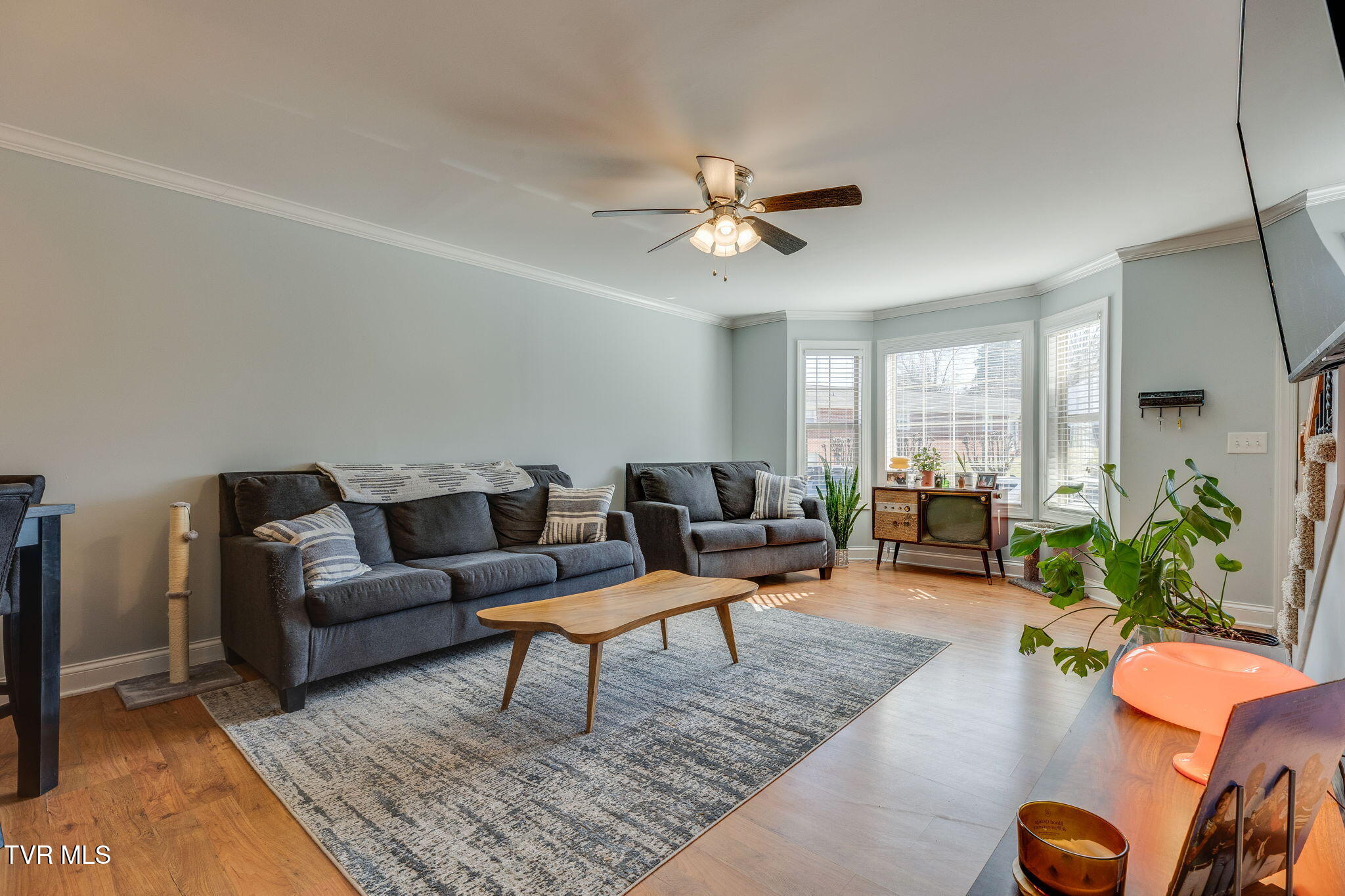 34 Logans Run, Unit 34 Gray, TN 37615 - Photo 5 of 29 009