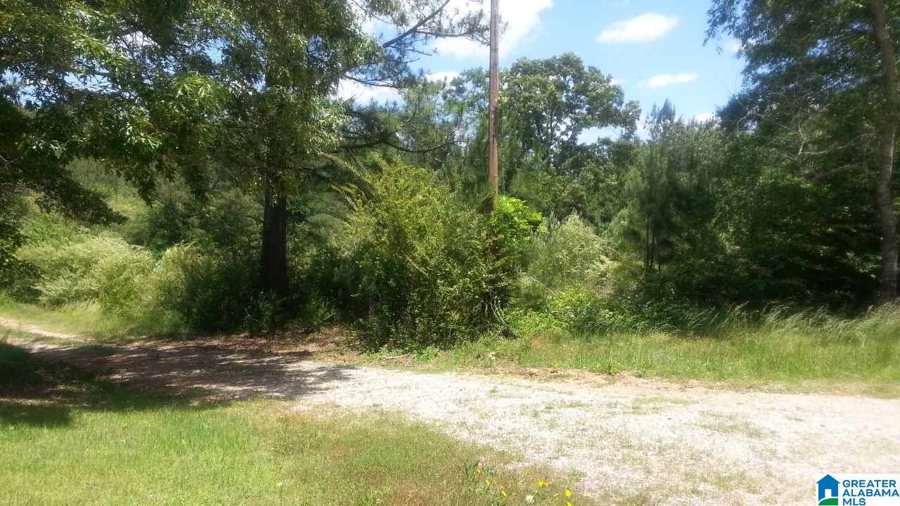 729 Cove Access Road Talladega, AL 35160 - Photo 11 of 12