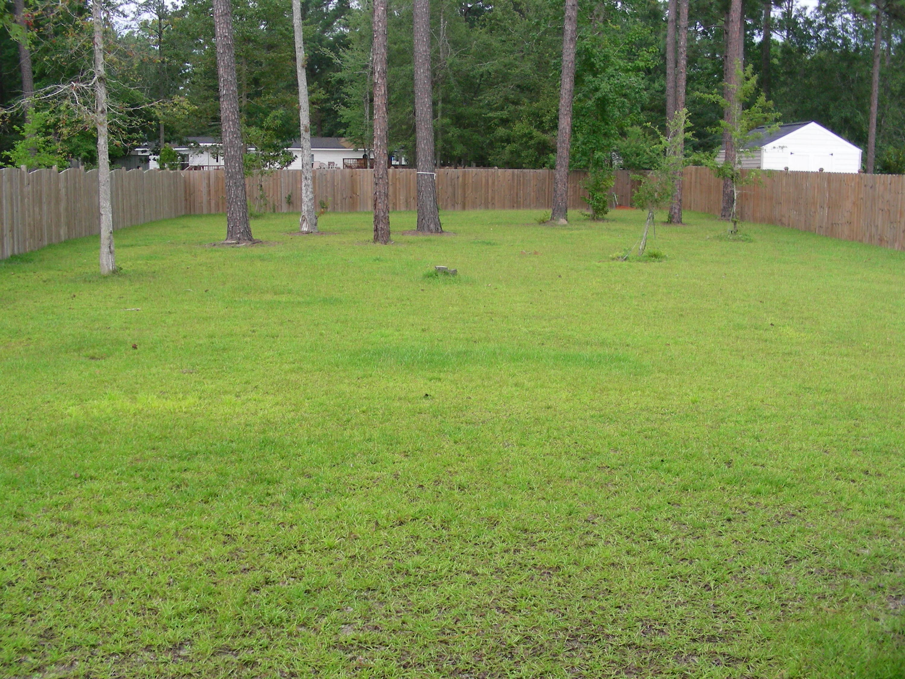 602 Kilarney Road Summerville, SC 29483 - Photo 27 of 35 Very large Backyard