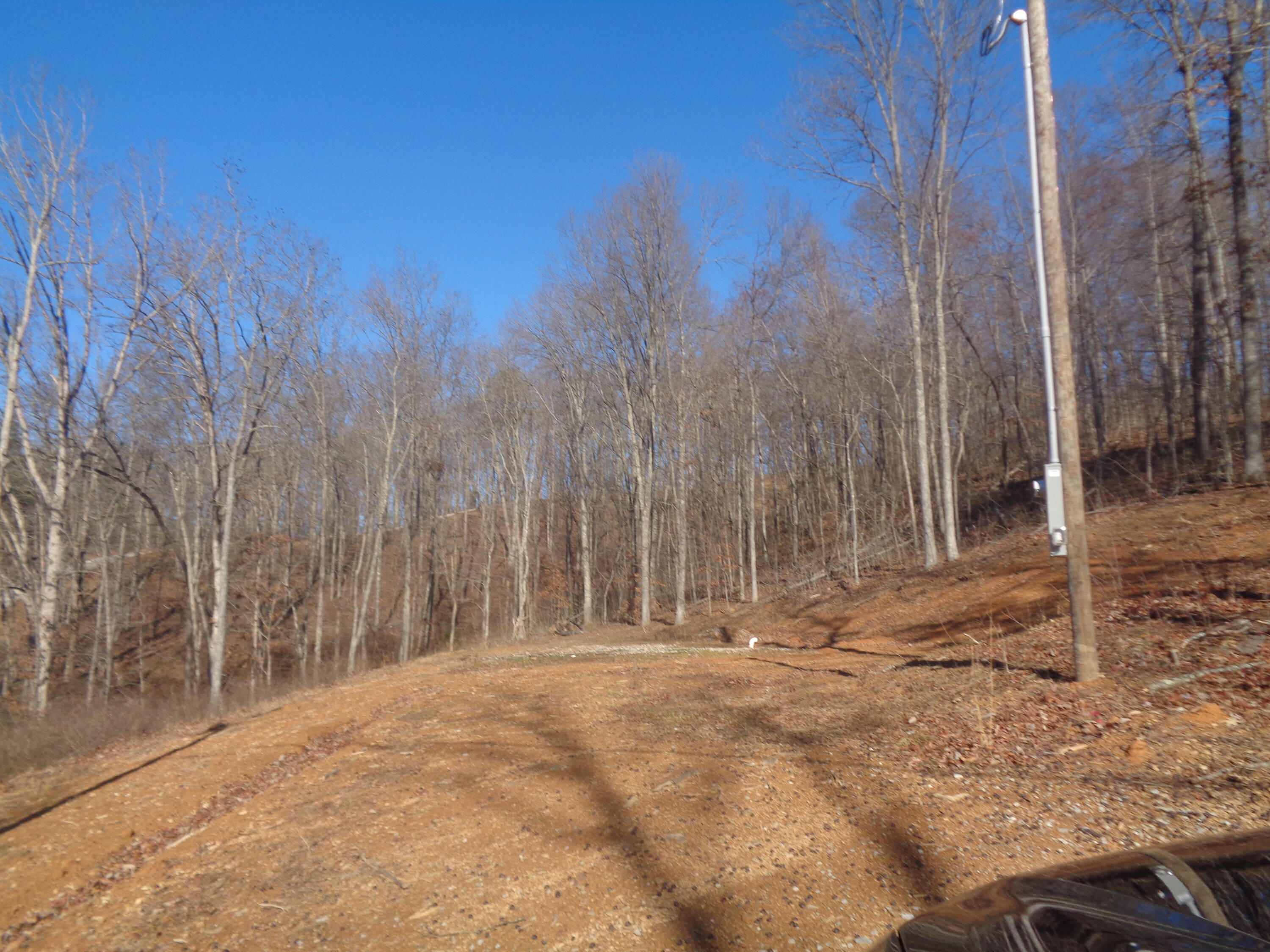 Lot 9 Freeman Branch Road East Bernstadt, KY 40729 - Photo 3 of 5 DSC07150