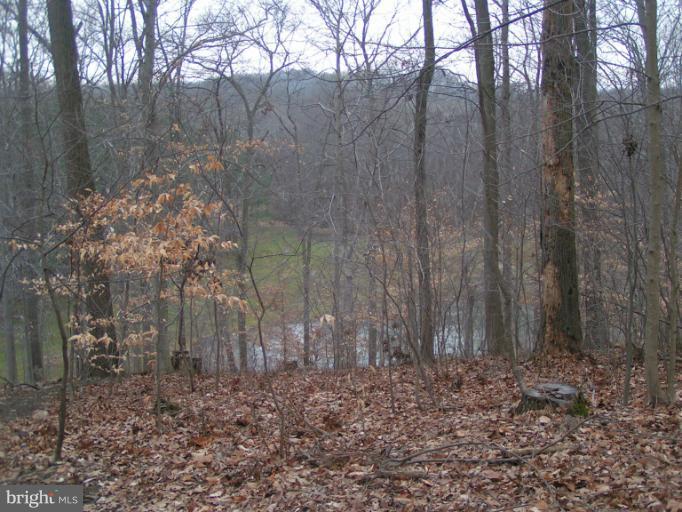 638 Big Elk Chapel Road Elkton, MD 21921 - Photo 4 of 29 View