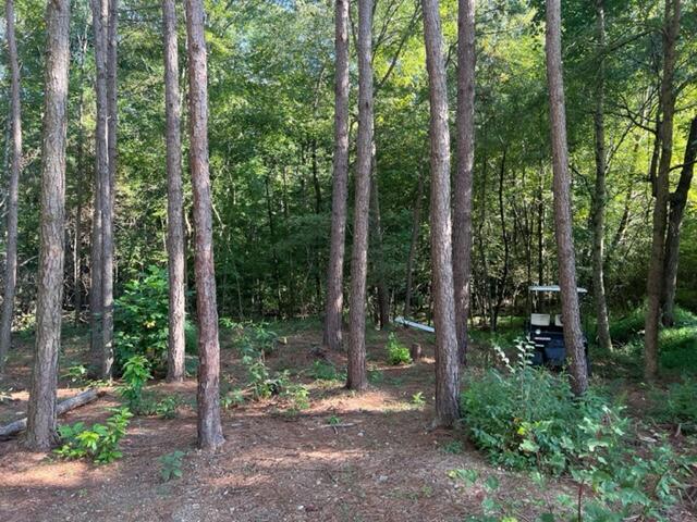445 Pinewood Drive, Unit 22 Rock Spring, GA 30739 - Photo 12 of 31 image40