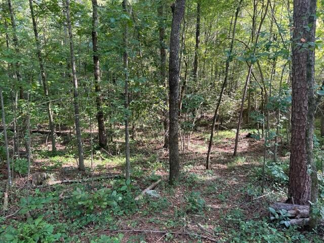 445 Pinewood Drive, Unit 22 Rock Spring, GA 30739 - Photo 13 of 31 image42