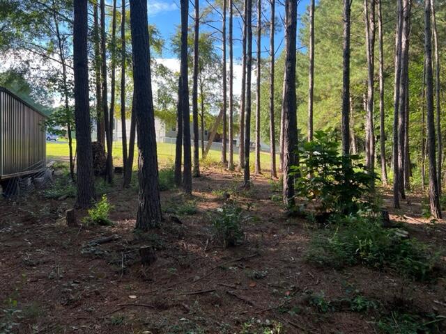 445 Pinewood Drive, Unit 22 Rock Spring, GA 30739 - Photo 10 of 31 image38