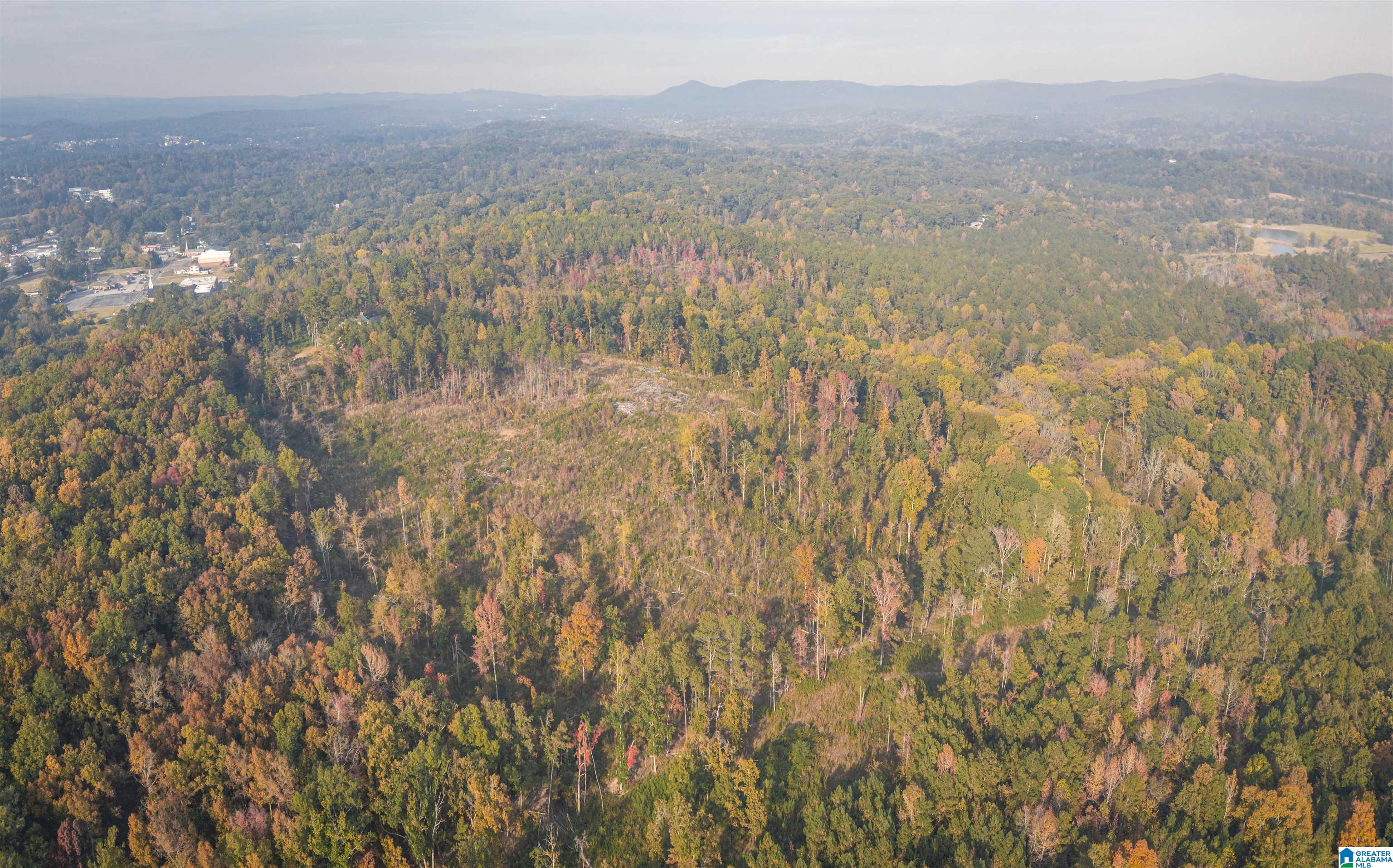 201 Cave Hill Road Weaver, AL 36277 - Photo 77 of 78