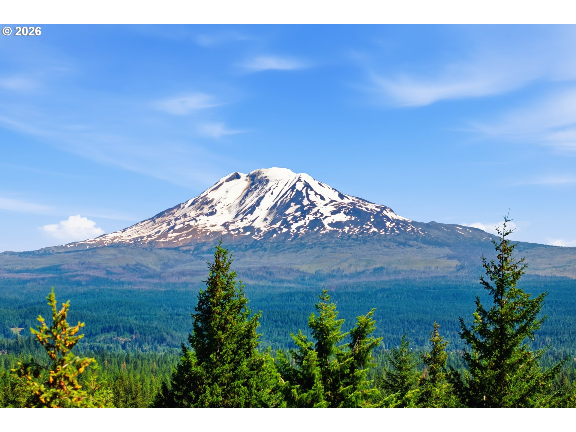 248 Jennings Road Trout Lake, WA 98650 - Photo 14 of 42 Gallery Image 14