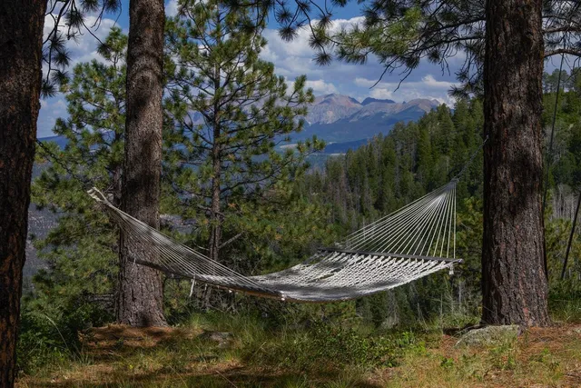 a view of a house with a backyard and plants