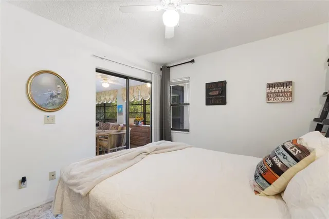 a view of a park with large trees