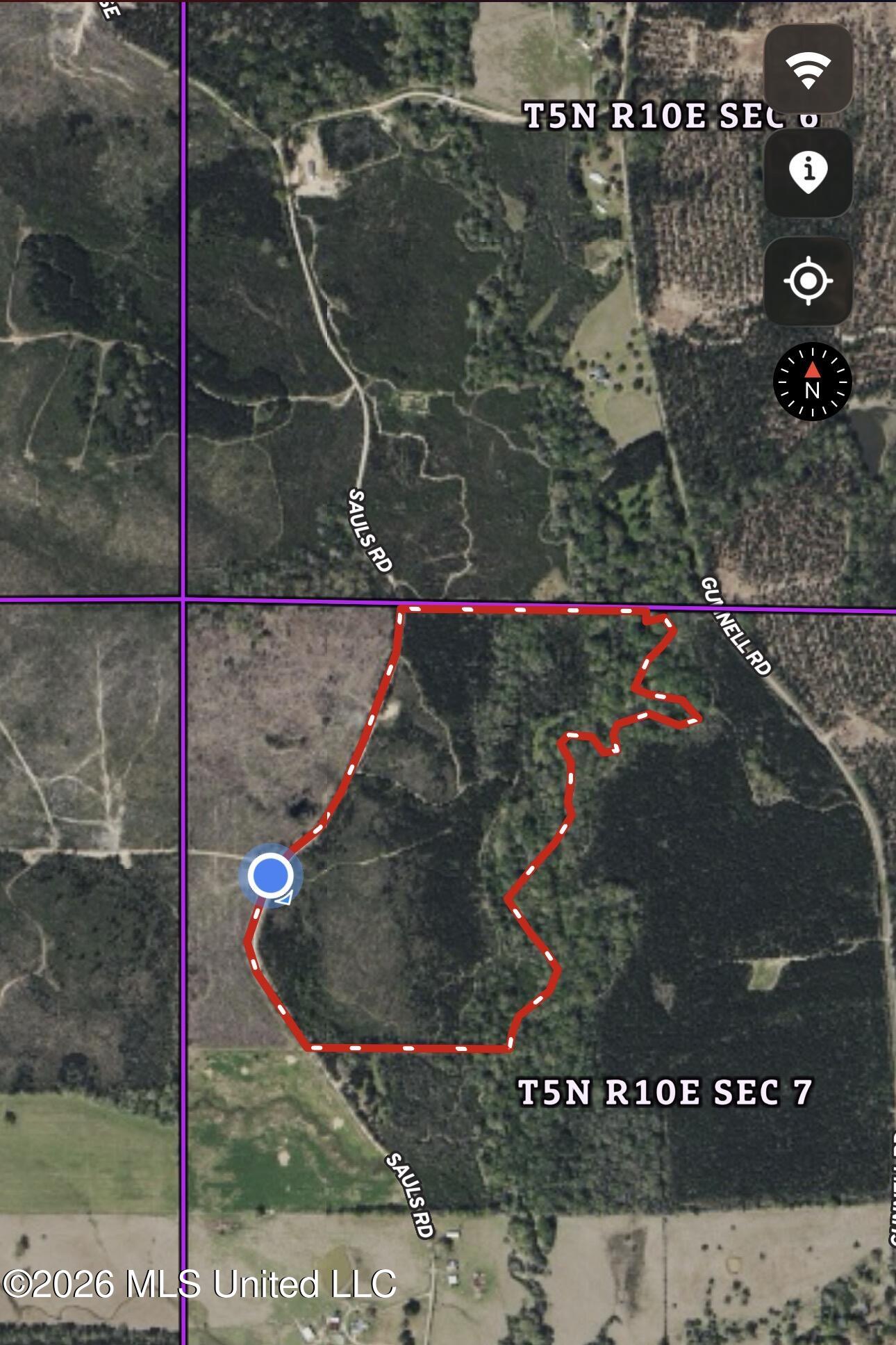 32 A Sauls Road Ruth, MS 39662 - Photo 5 of 22 Land-for-sale-Ruth-MS (3)