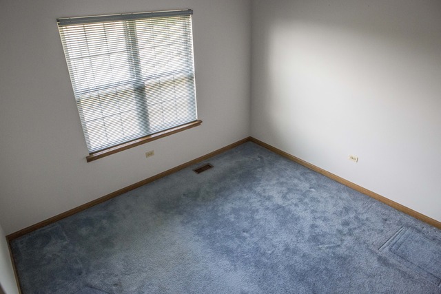 1 Maple Trail Court Bolingbrook, IL 60490 - Photo 16 of 19
