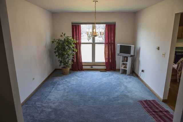 1 Maple Trail Court Bolingbrook, IL 60490 - Photo 7 of 19