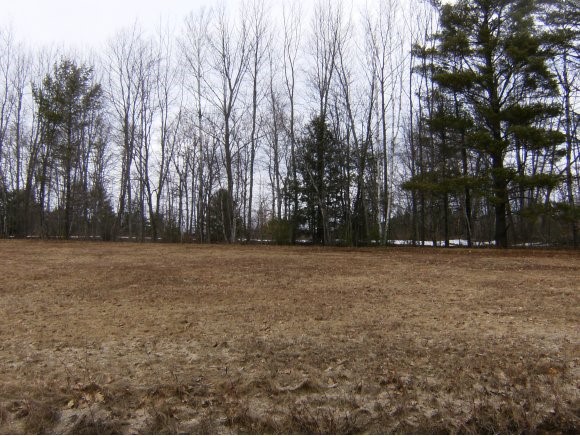 79-3 Freedom Point Road Freedom, NH 03836 - Photo 1 of 1