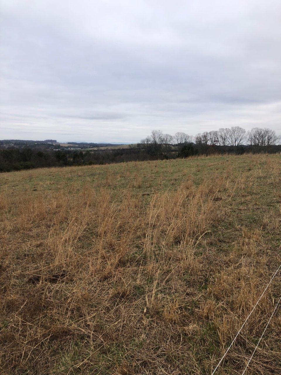 4200 Sunnyside Road Philadelphia, TN 37846 - Photo 1 of 2 IMG_8276 (1)