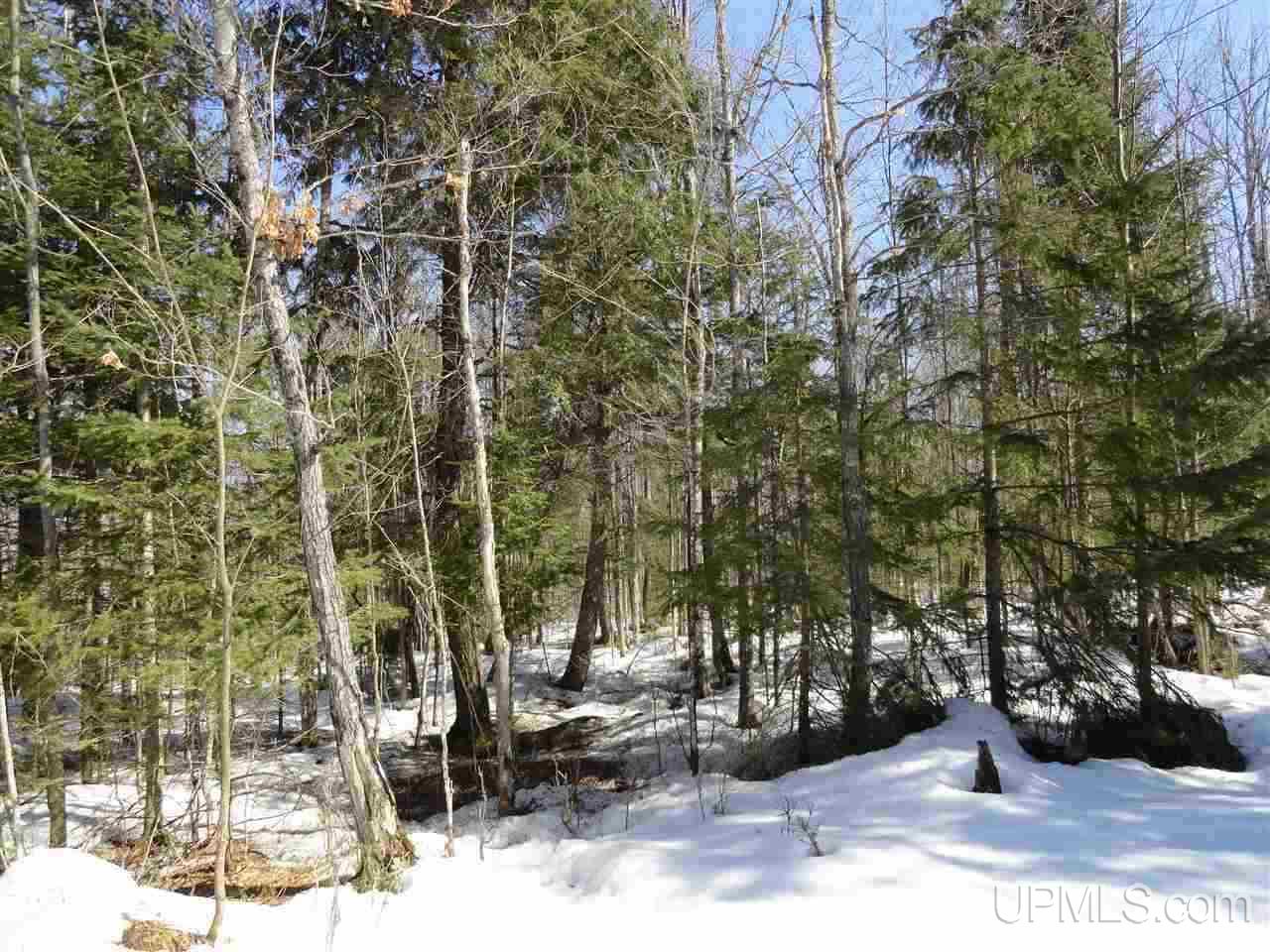 240-acres Leek Road Covington, MI 49919 - Photo 21 of 50