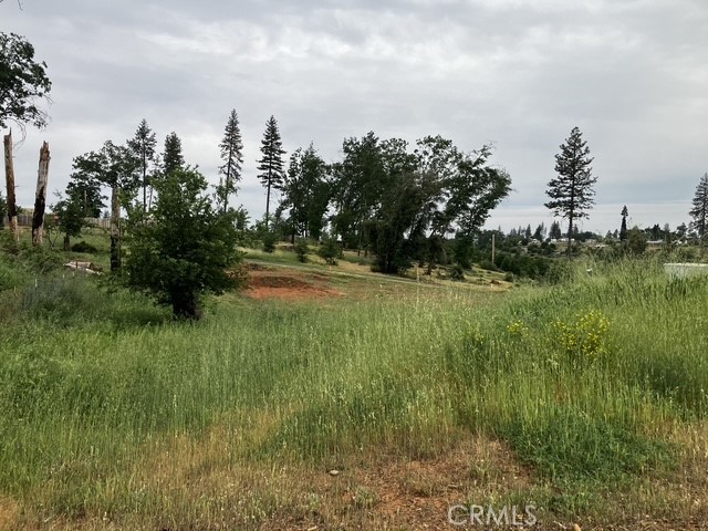 1318 Pearson Road Paradise, CA 95969 - Photo 4 of 9